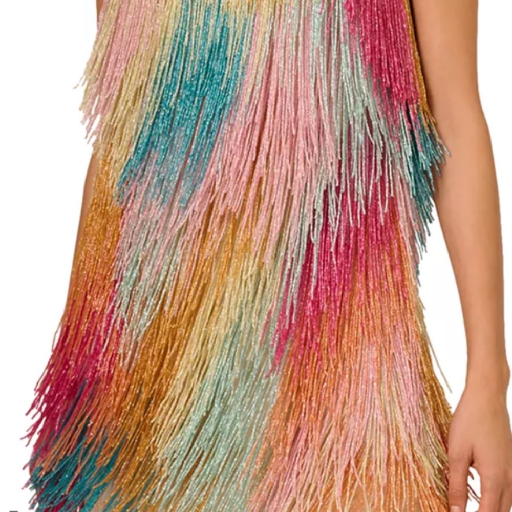 Multicolor Fringe Dress